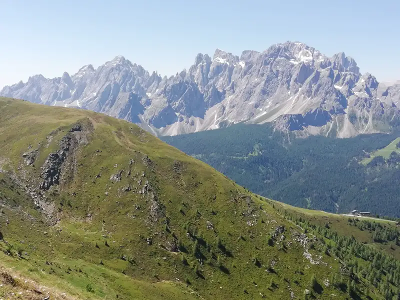 Aussicht auf die Dolomiten von einem bewachsenen Berghang.