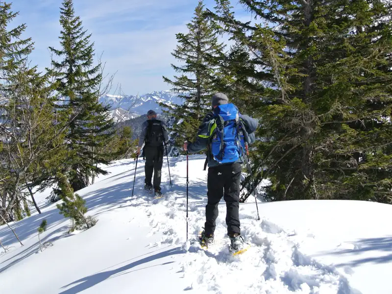 Zwei Schneeschuhwanderer auf einem verschneiten Weg, umgeben von Tannenbäumen, mit Bergen im Hintergrund.