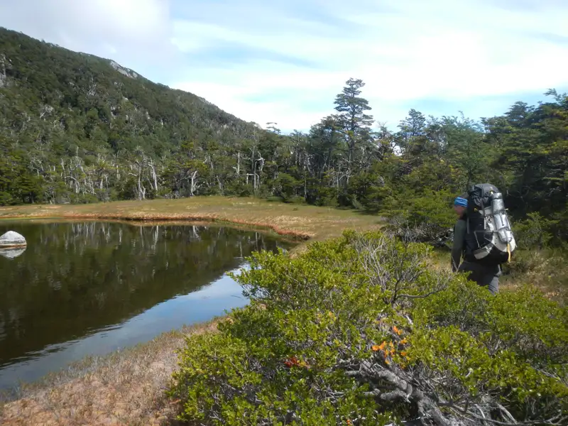 Wanderer mit Rucksack in der Nähe eines Sees und bewaldeten Hügels.