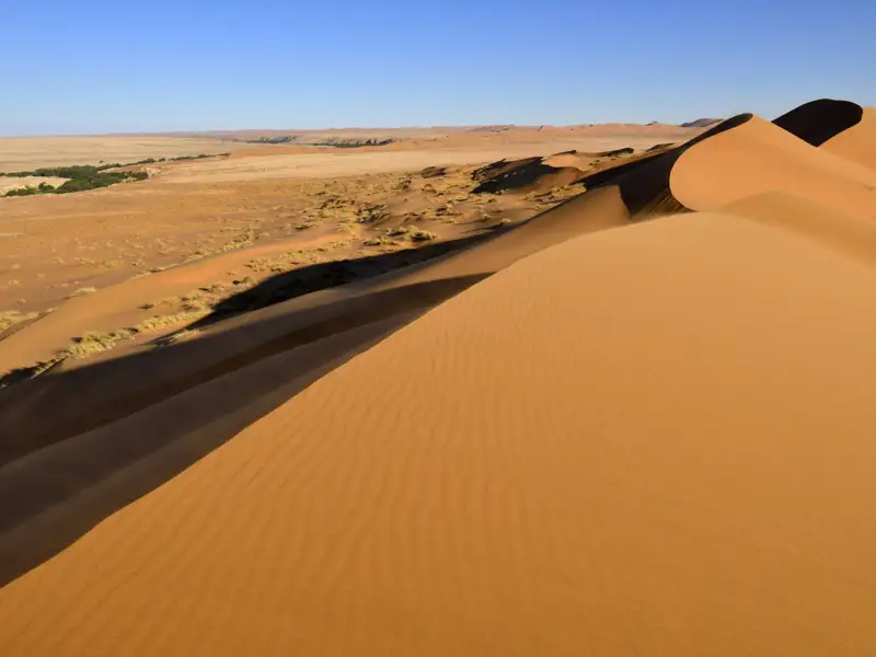 Ausgedehnte Sanddünenlandschaft mit spärlicher Vegetation unter einem klaren blauen Himmel.