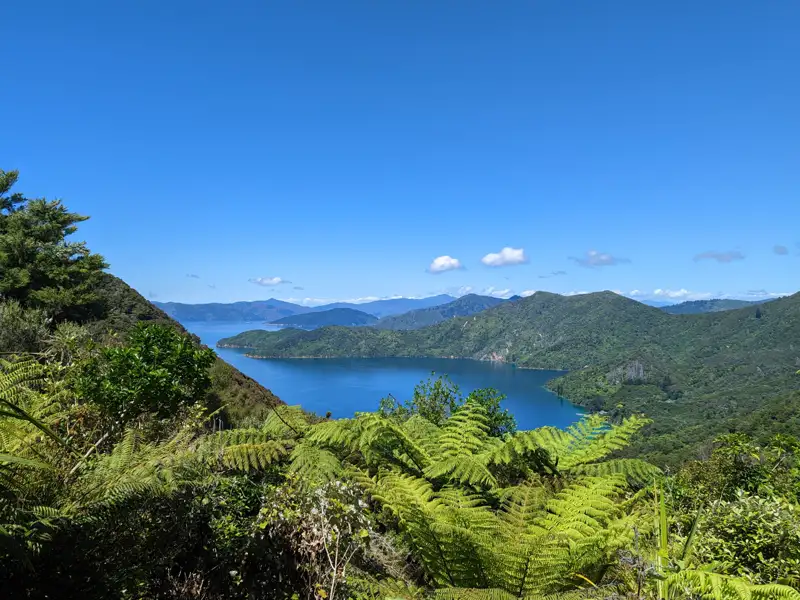 Panorama der Marlborough Sounds mit Blick auf das Wasser und die bewaldeten Hügel.