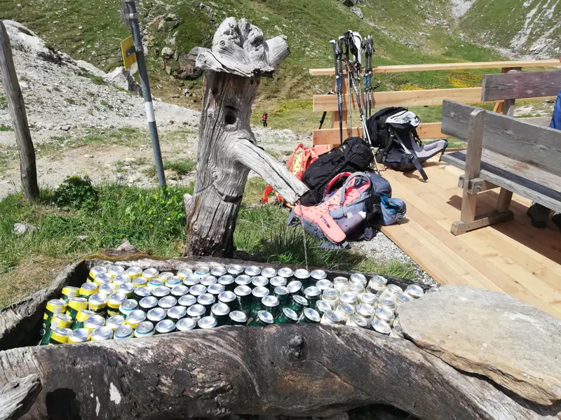 Kühlende Erfrischung: Getränkedosen in einem Baumstamm-Brunnen während einer Wanderpause.