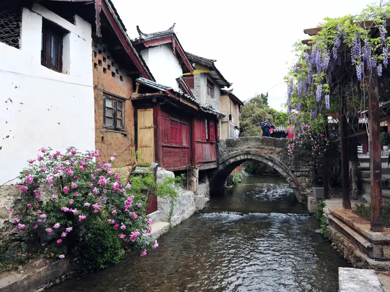Traditionelles chinesisches Dorf mit Kanal, Steinbrücke, Rosen und Glyzinien.