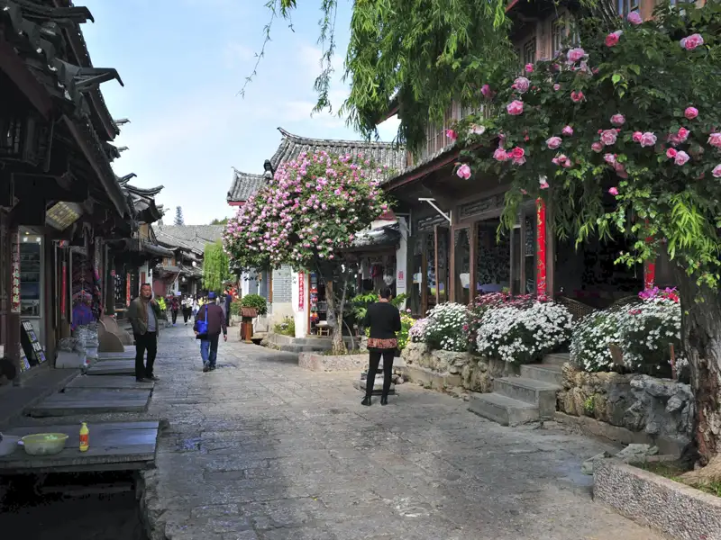 Gepflasterte Straße mit traditionellen Gebäuden und blühenden Pflanzen.