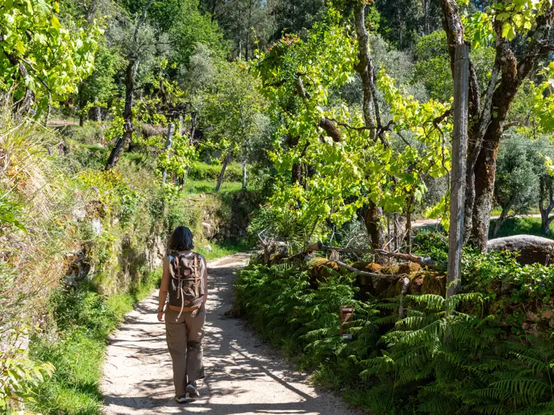 Wanderer auf einem bewachsenen Weg.