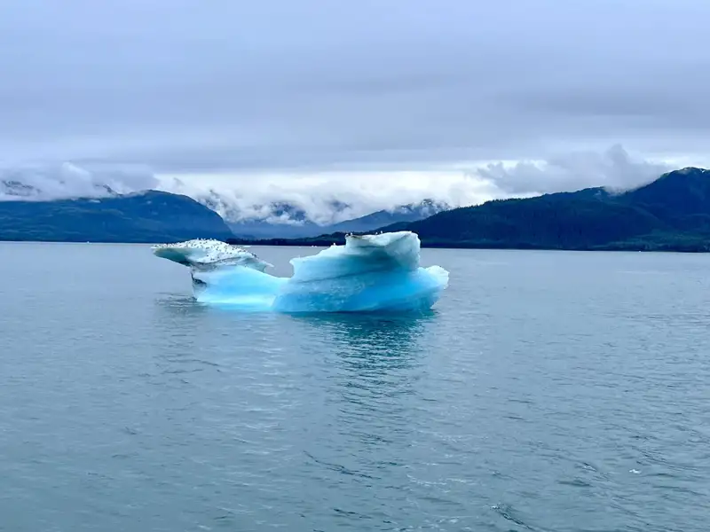 Eisberg im Wasser mit Vögeln und Bergen im Hintergrund.