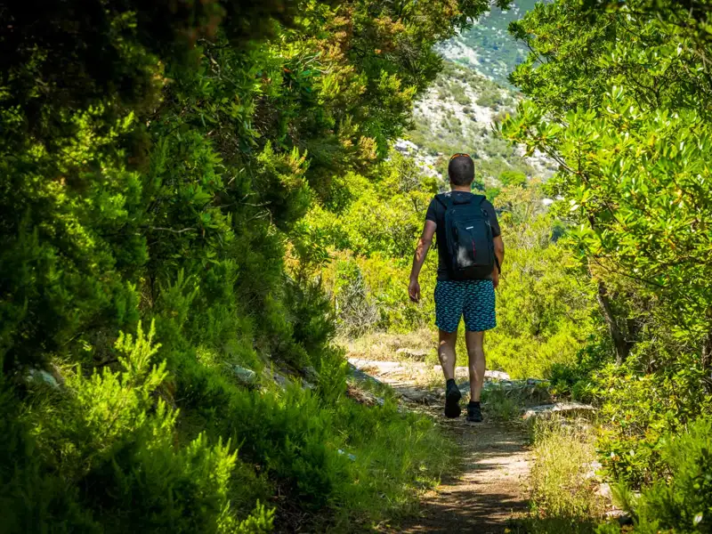 Wanderer auf einem bewachsenen Pfad.