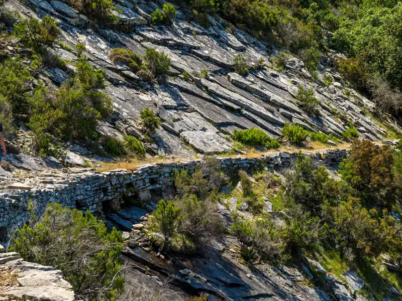Steiniger Bergpfad mit Vegetation