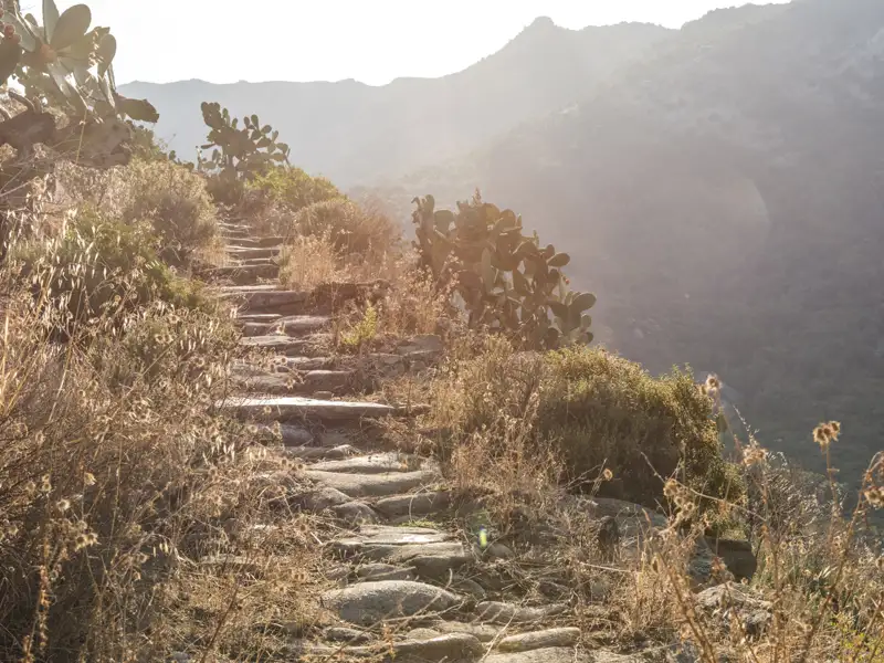 Steinerner Wanderweg in den Bergen, umgeben von trockener Vegetation und Kakteen.