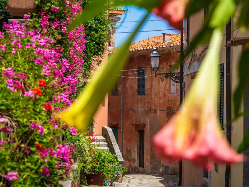 Bunte Blumen säumen eine Gasse mit traditionellen Häusern.