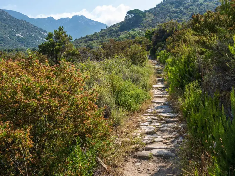 Wanderweg durch mediterrane Macchia