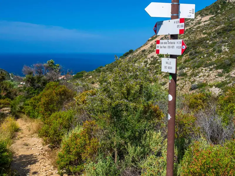 Wegweiser auf einem Wanderweg mit Richtungsangaben nach Pomonte, Colle della Grottaccia und Valle dei Mori.
