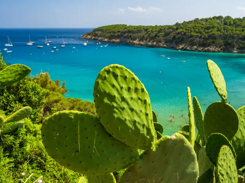 Kaktusfeigen im Vordergrund, dahinter eine Bucht mit türkisfarbenem Wasser, in der Menschen schwimmen und Segelboote ankern.
