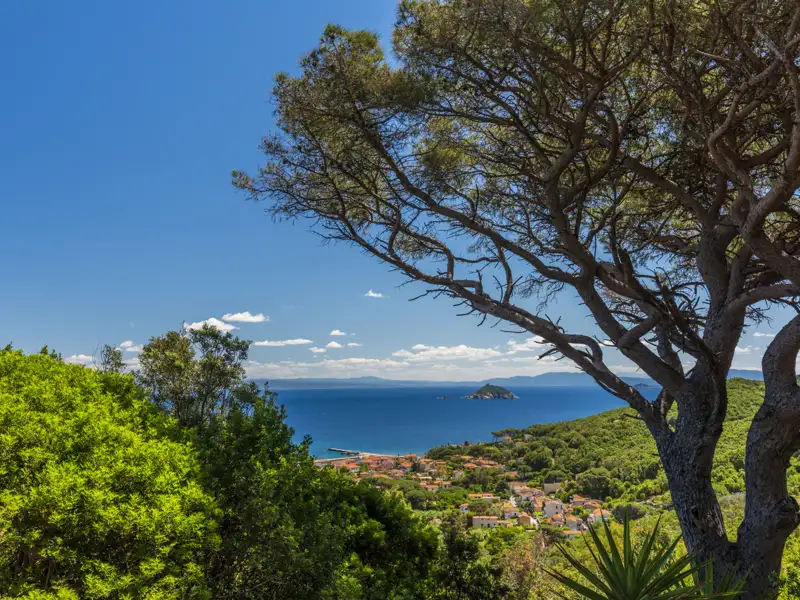 Panoramablick auf die Küste mit Meerblick.
