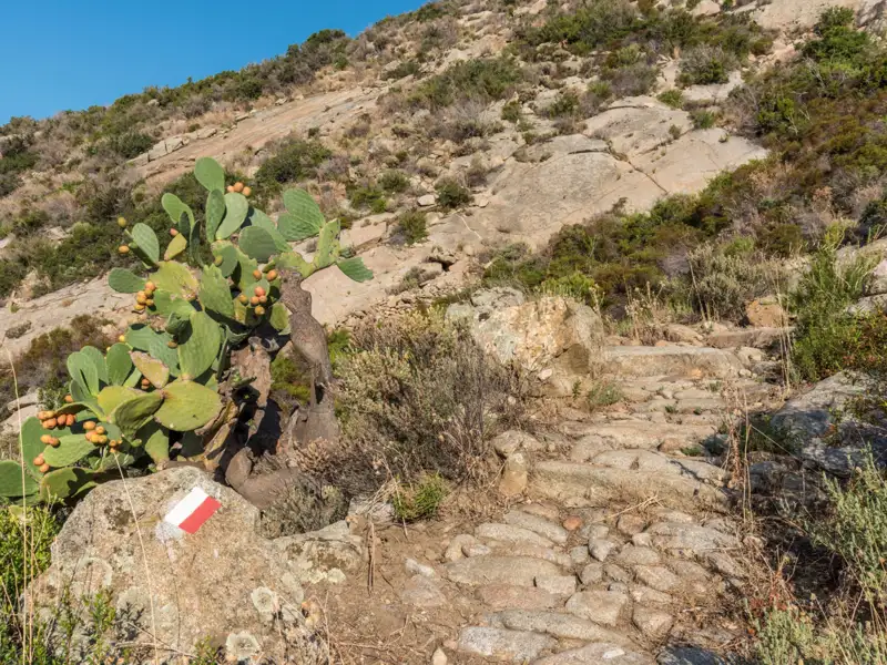 Markierter Wanderweg mit steinigem Untergrund und Feigenkaktus.
