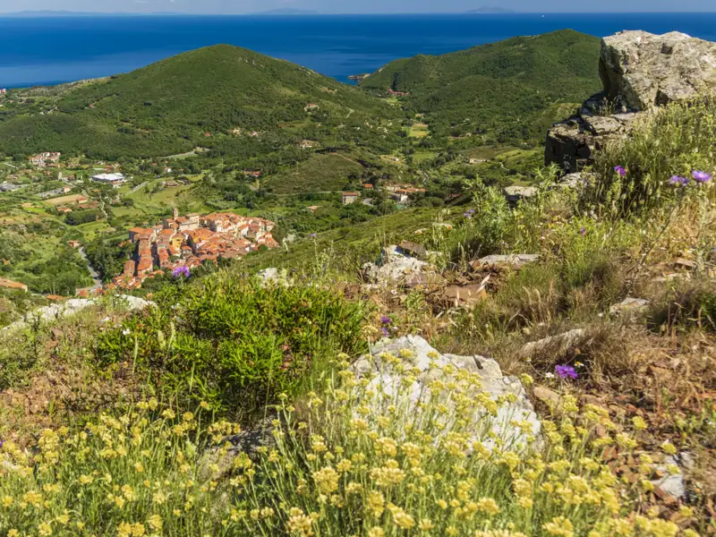 Panoramablick auf ein Küstendorf mit roten Dächern, umgeben von grüner Vegetation und mit Blick auf das blaue Meer.