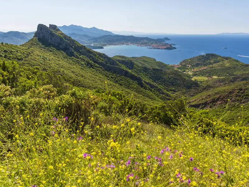 Aussicht von einem bewachsenen Hügel mit Wildblumen auf die Küste und das Meer.