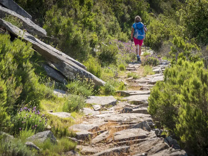 Wanderer auf einem steinigen Wanderweg inmitten von Vegetation.