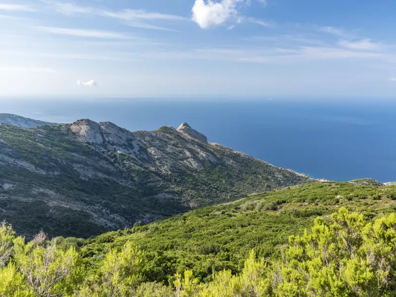 Bewaldete Berghänge und felsige Gipfel an der Küste mit Blick auf das Meer.