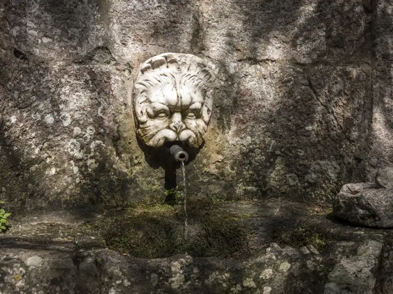 Wasserspeier eines Steinbrunnens.