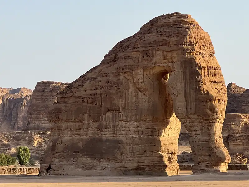 Elefantenfels Formation in der Wüste