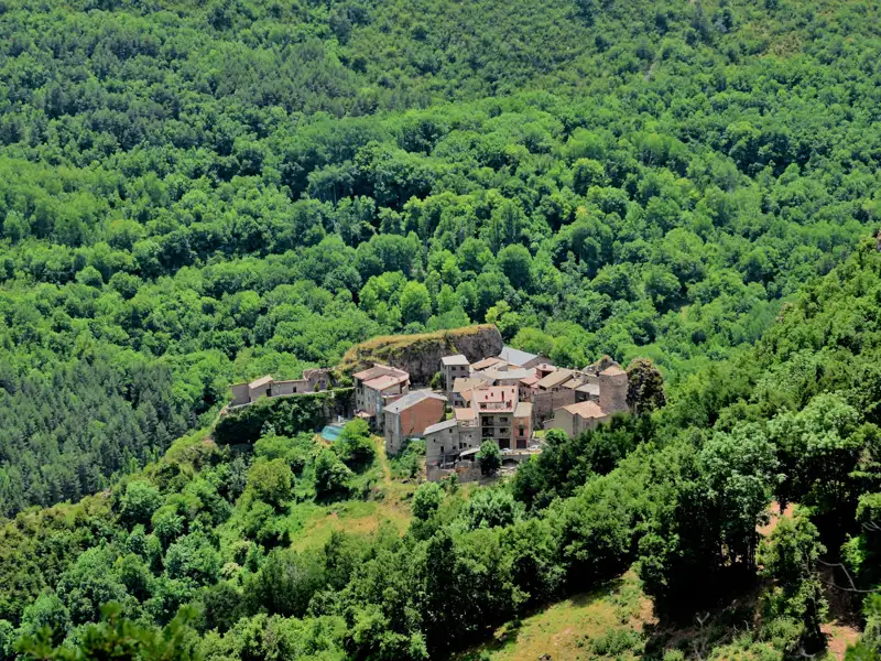 Luftbild eines kleinen Dorfes, umgeben von dichtem Wald.