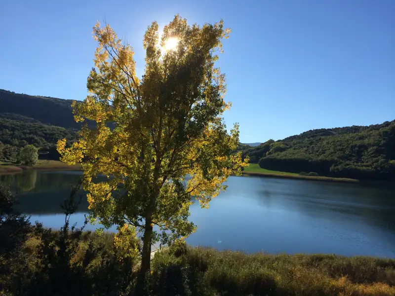 Herbstliche Landschaft mit Baum und See.