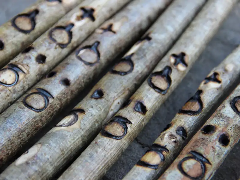 Detailansicht von hölzernen Stöcken mit eingebrannten Symbolen.