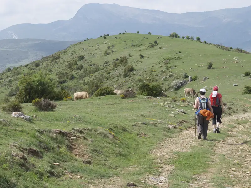 Zwei Wanderer auf einem Bergpfad. Im Hintergrund sind grasende Tiere und Berge zu sehen.