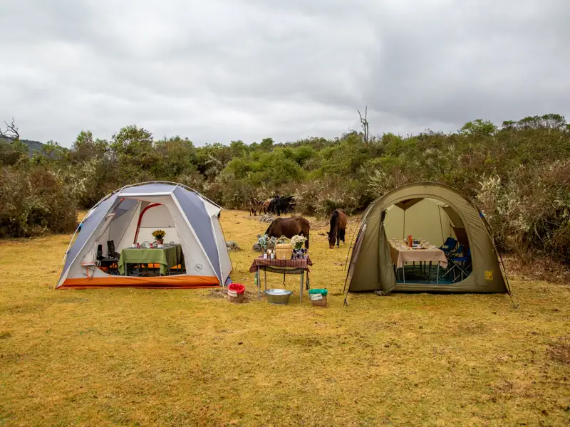 Zeltplatz mit vorbereitetem Essen und grasenden Pferden im Hintergrund.