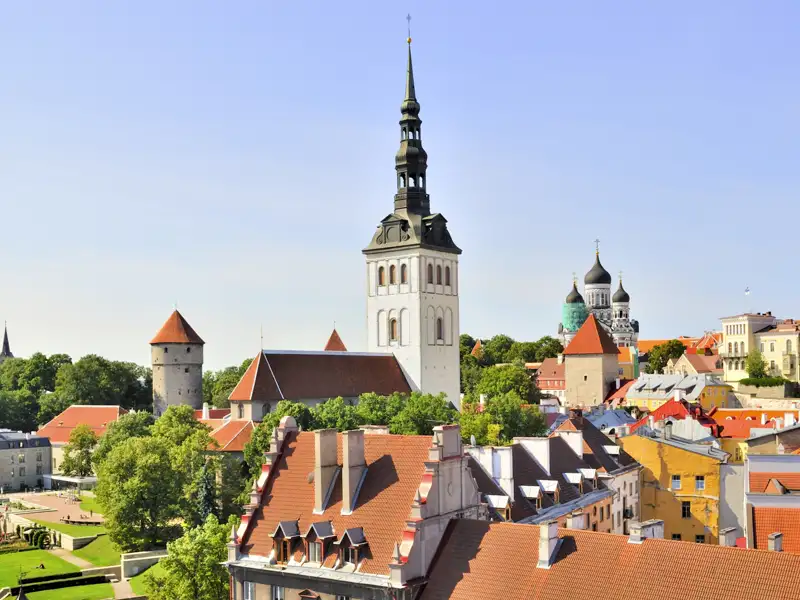 Altstadt von Tallinn mit Blick auf die Nikolaikirche.
