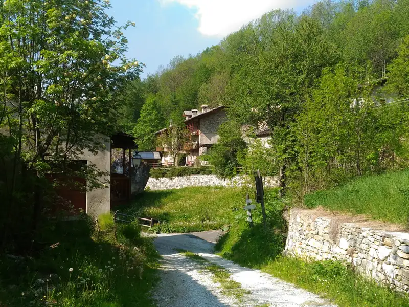 Weg zu einem Haus in bewaldeter Umgebung.