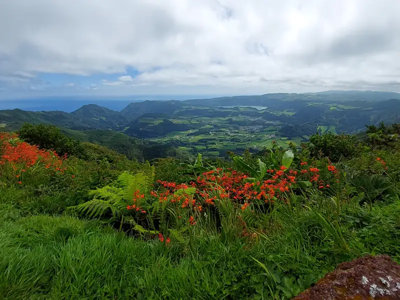 Aussicht auf das Tal mit orangen Blumen und grüner Landschaft.