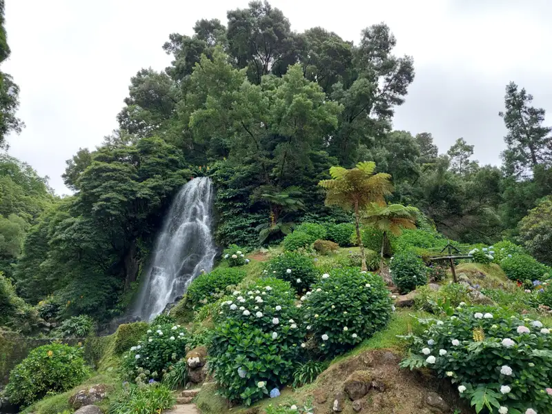Szenischer Wasserfall inmitten von üppiger Vegetation und Hortensien.
