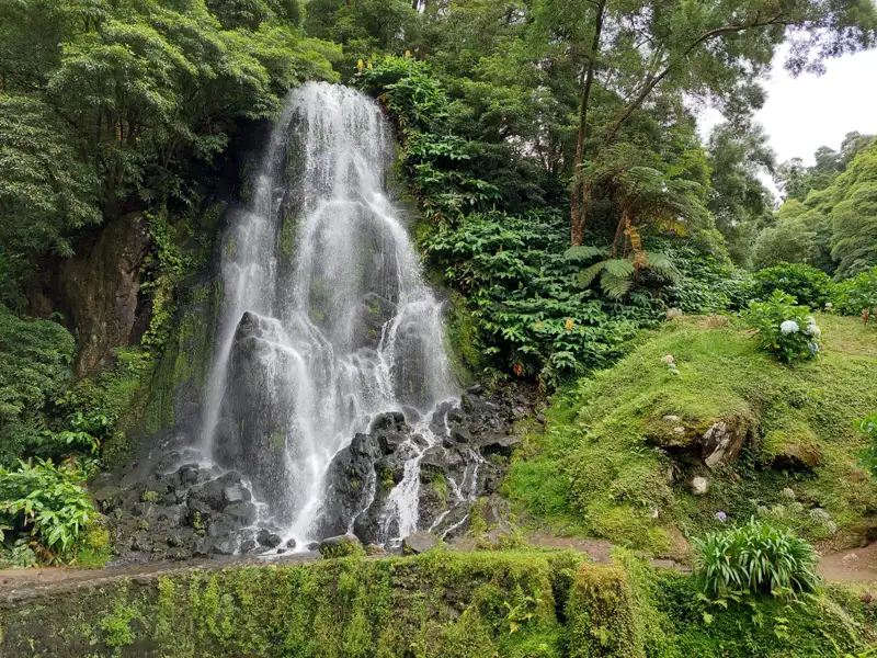 Szenischer Wasserfall umgeben von üppiger, grüner Vegetation.