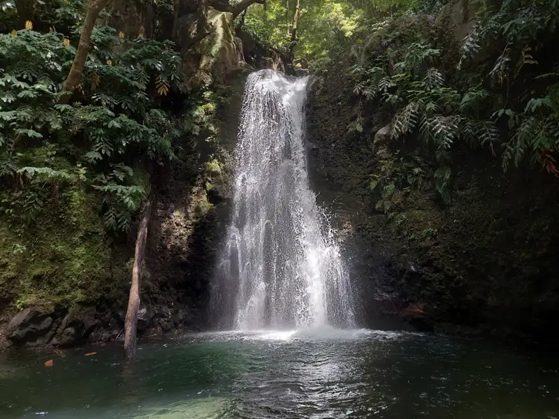 Szenischer Wasserfall, umgeben von üppiger, tropischer Vegetation.