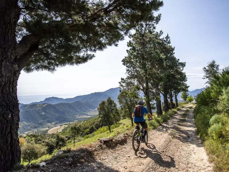 Mountainbiker auf einem Bergpfad mit Aussicht.