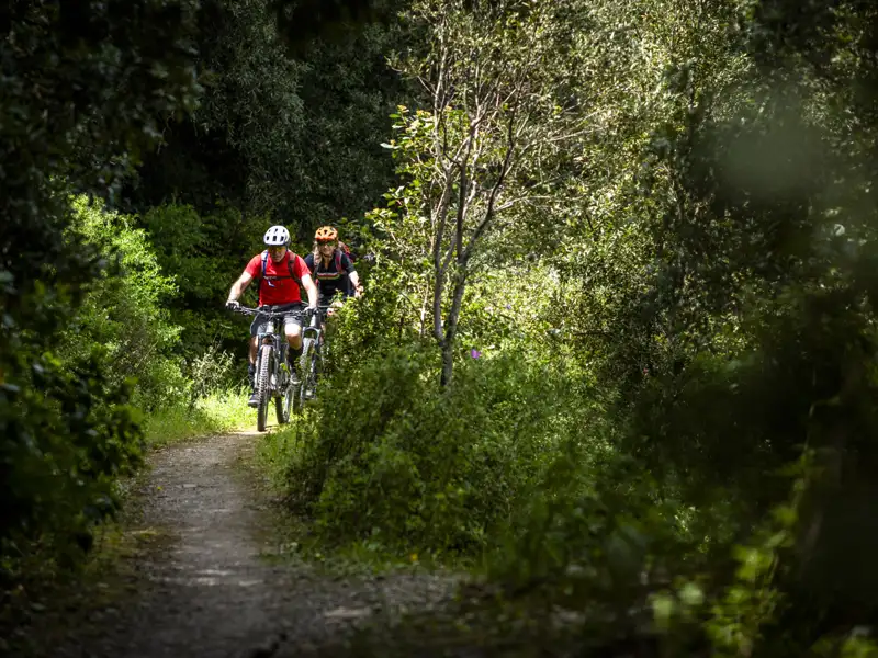 Zwei Mountainbiker auf einem Waldweg.