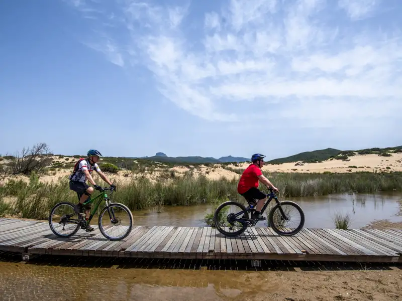 Zwei Mountainbiker auf einem Holzsteg in den Dünen.