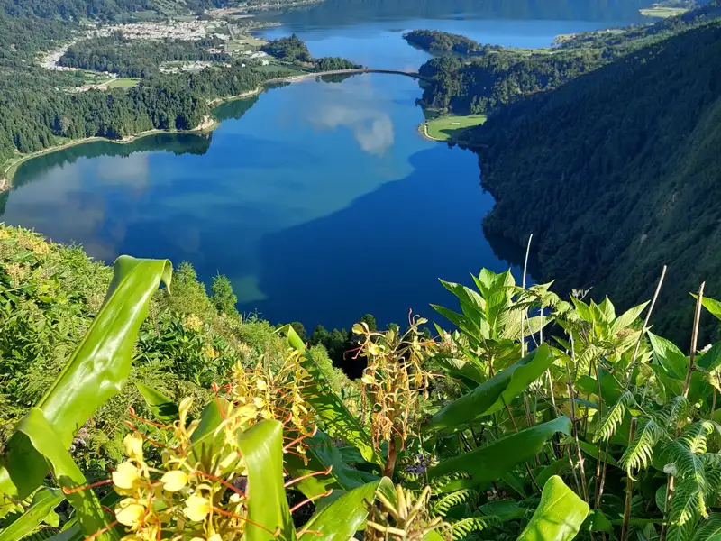 Panoramablick auf einen See mit üppiger Vegetation im Vordergrund und einer Stadt im Hintergrund.