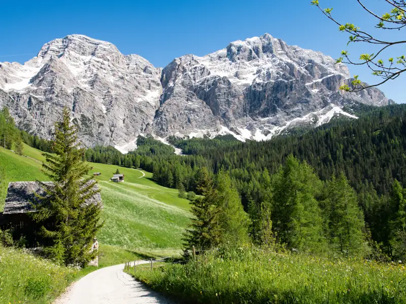 Almweg in den Dolomiten