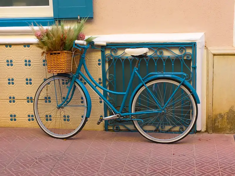Blaues Fahrrad mit Blumenkorb vor gemusterter Wand.