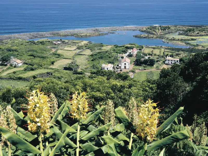 Küstensiedlung mit Kirche und Feldern, umgeben von exotischer Flora.
