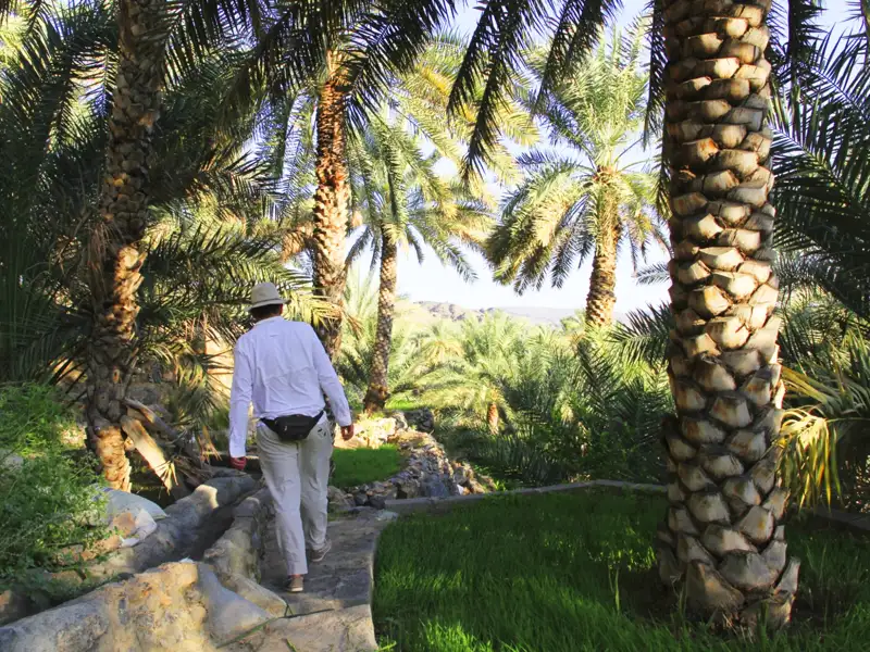 Reisender in einer Dattelpalmen-Oase