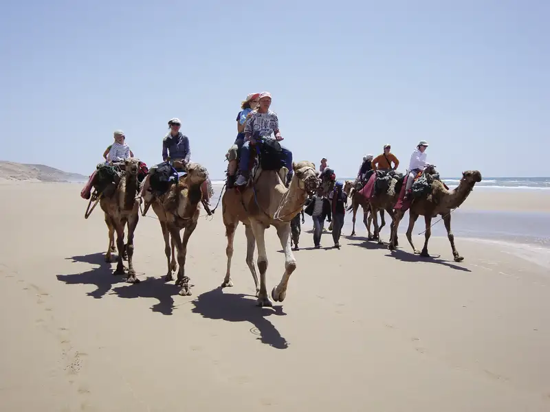 Reisende auf einem Kamelritt am Strand.