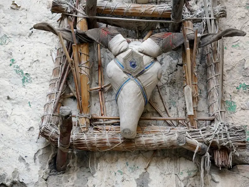 Ein Ziegenschädel, der an einer Wand montiert ist und möglicherweise eine kulturelle oder spirituelle Bedeutung hat.