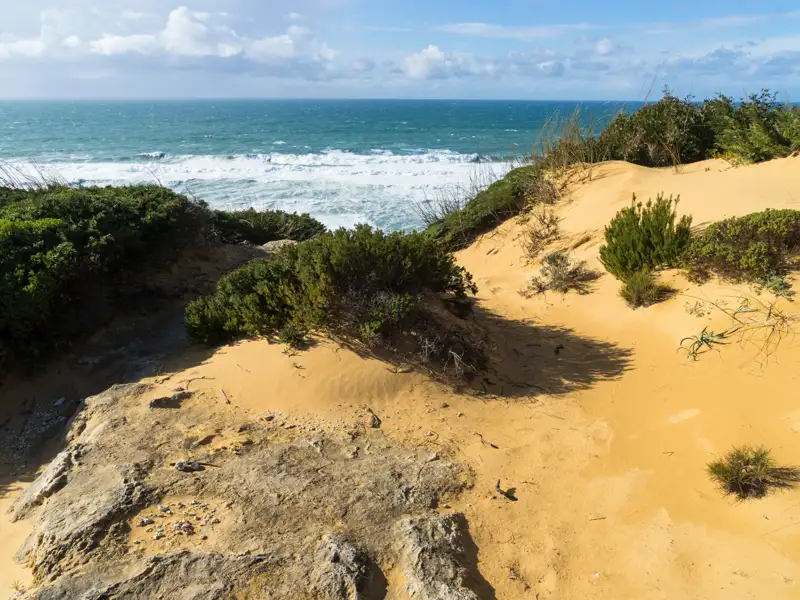 Dünen und Vegetation an der Küste mit Blick auf das Meer.