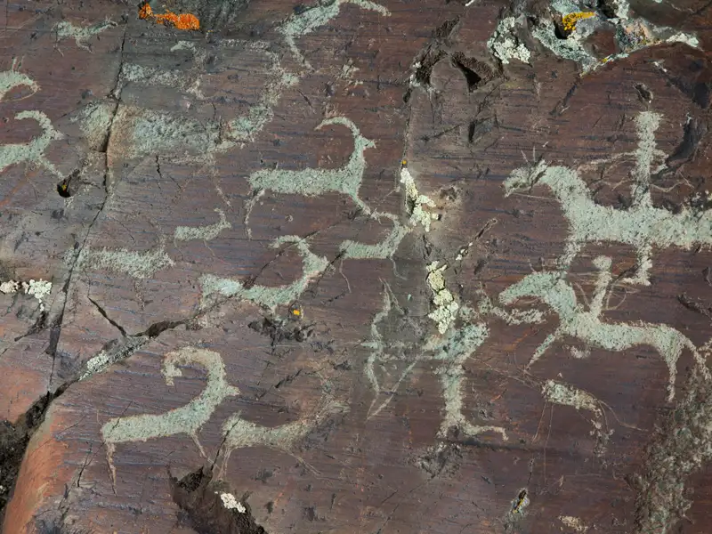 Felsritzungen von Tieren.