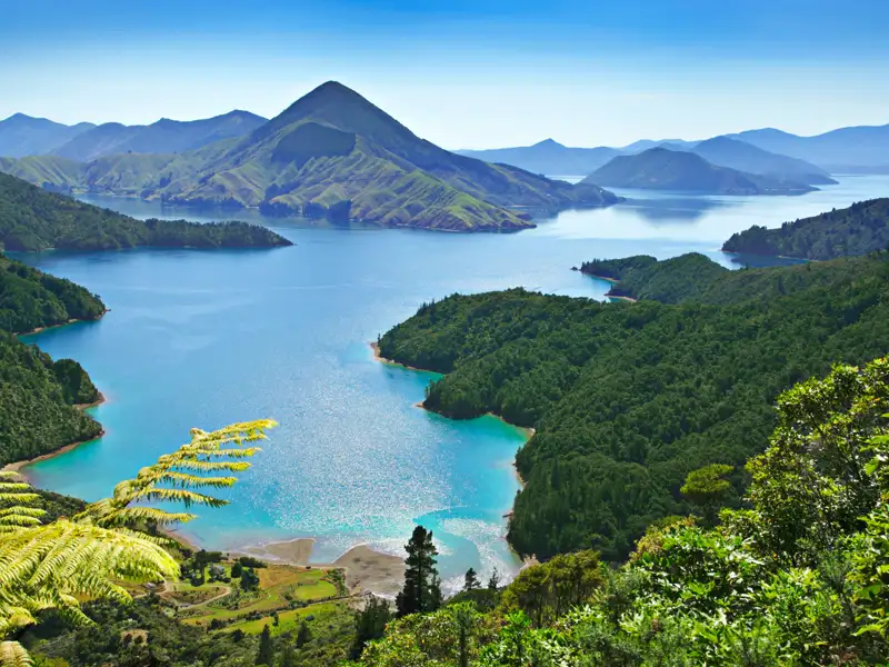Panoramablick auf die Buchten und bewaldeten Hügel der Region.