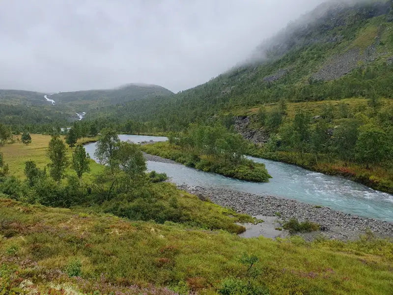 Fluss und bewachsene Uferlandschaft mit einem nebligen Berg im Hintergrund.